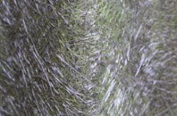 Stoke Sub Hamdon fibreglass roof work